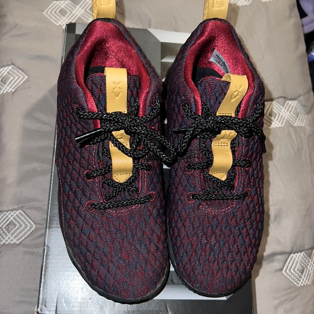 Lebron XV